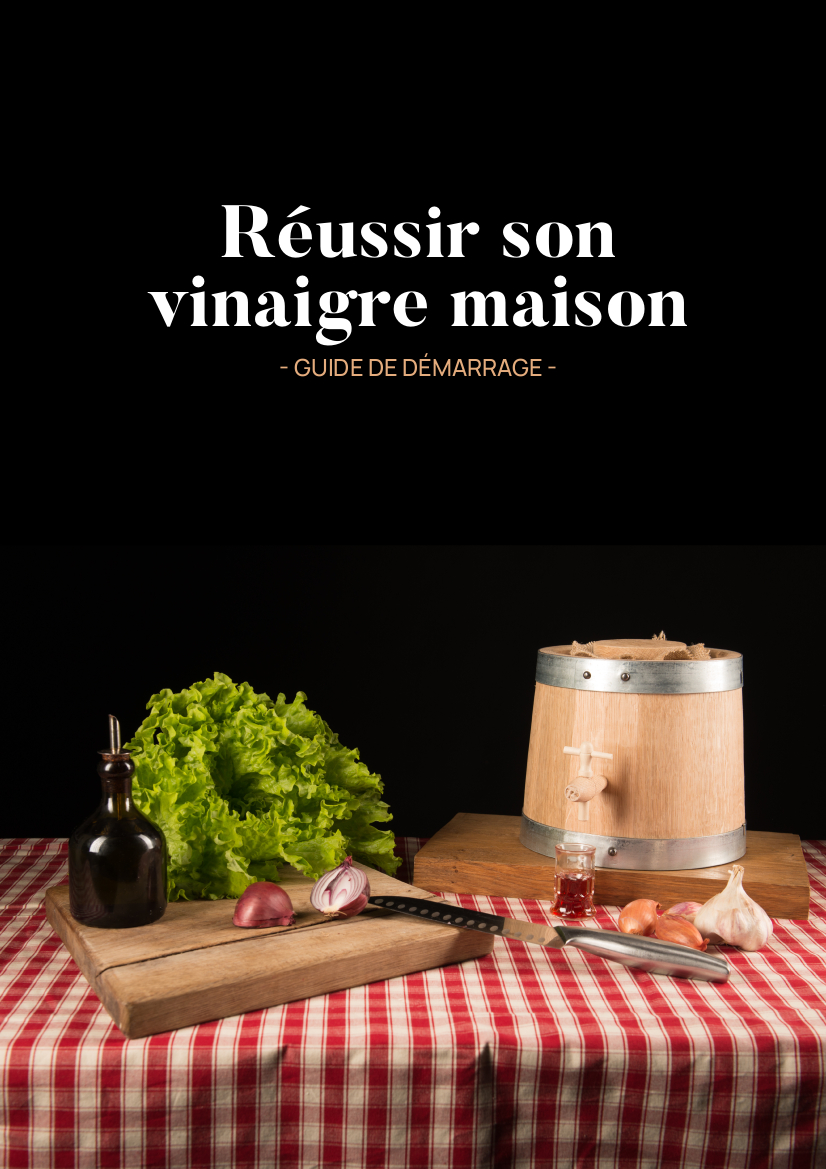 Guide gratuit pour démarrer son vinaigre maison